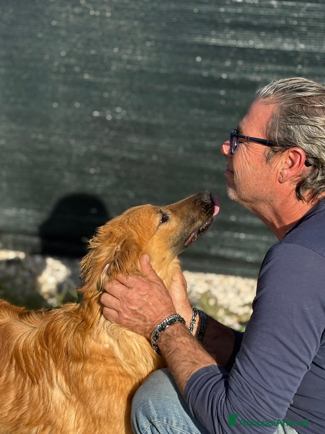 Meticcio cani in regalo: NINA, cucciola di 5 mesi - Annuncio 3