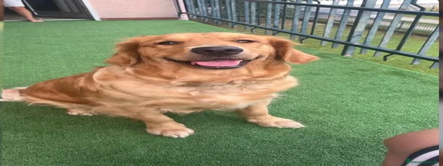 Kira