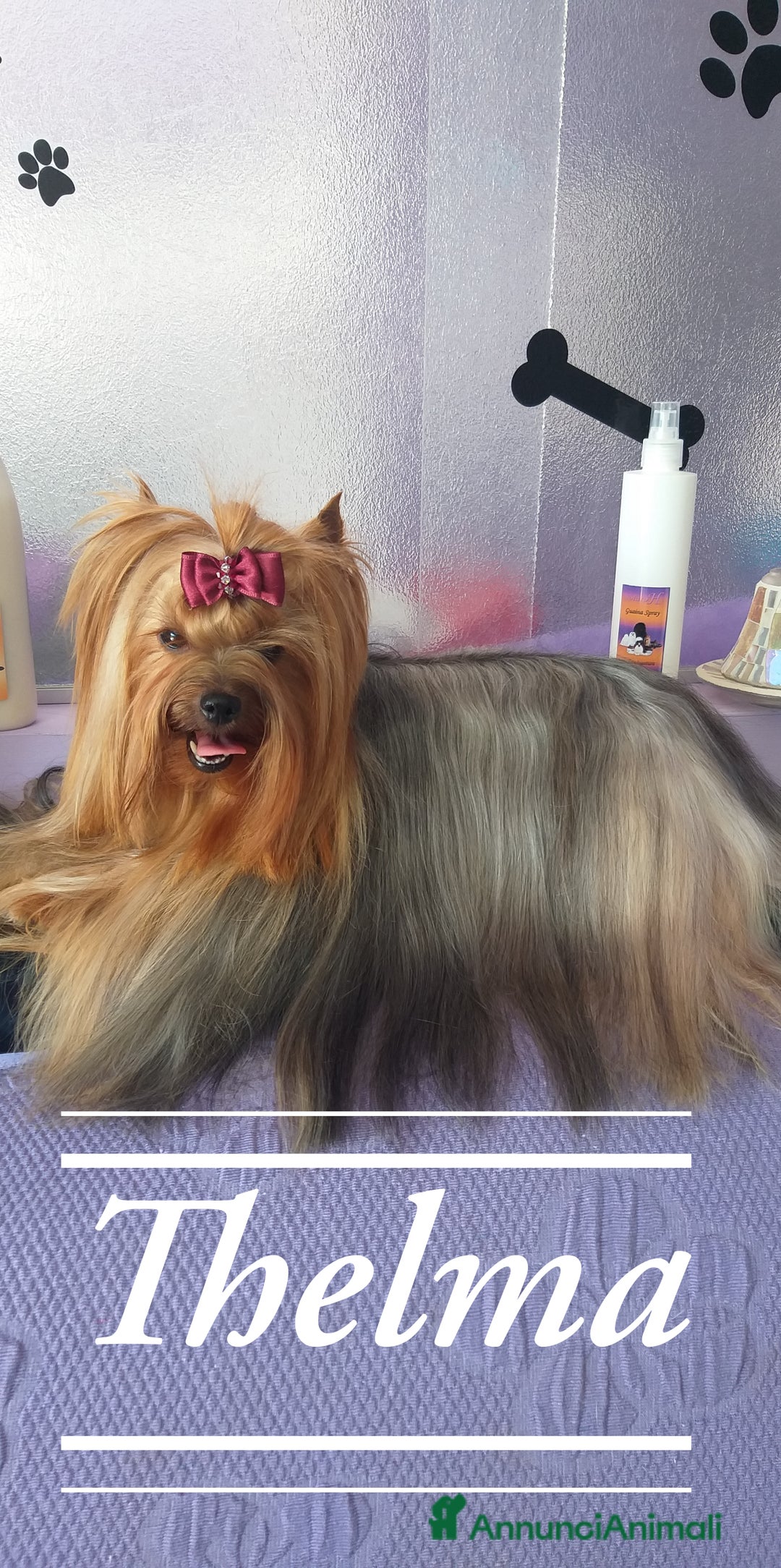 Immagine della galleria {{count}}