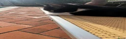 Altre razze gatti in regalo: Un gatto regalo. Femmina😇💞 - Annuncio 12