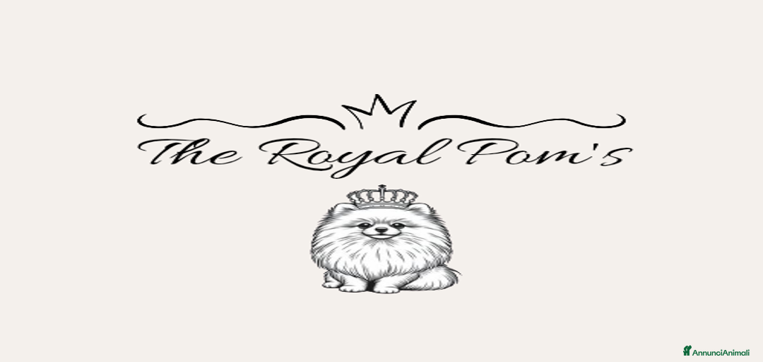 Immagine della galleria {{count}}