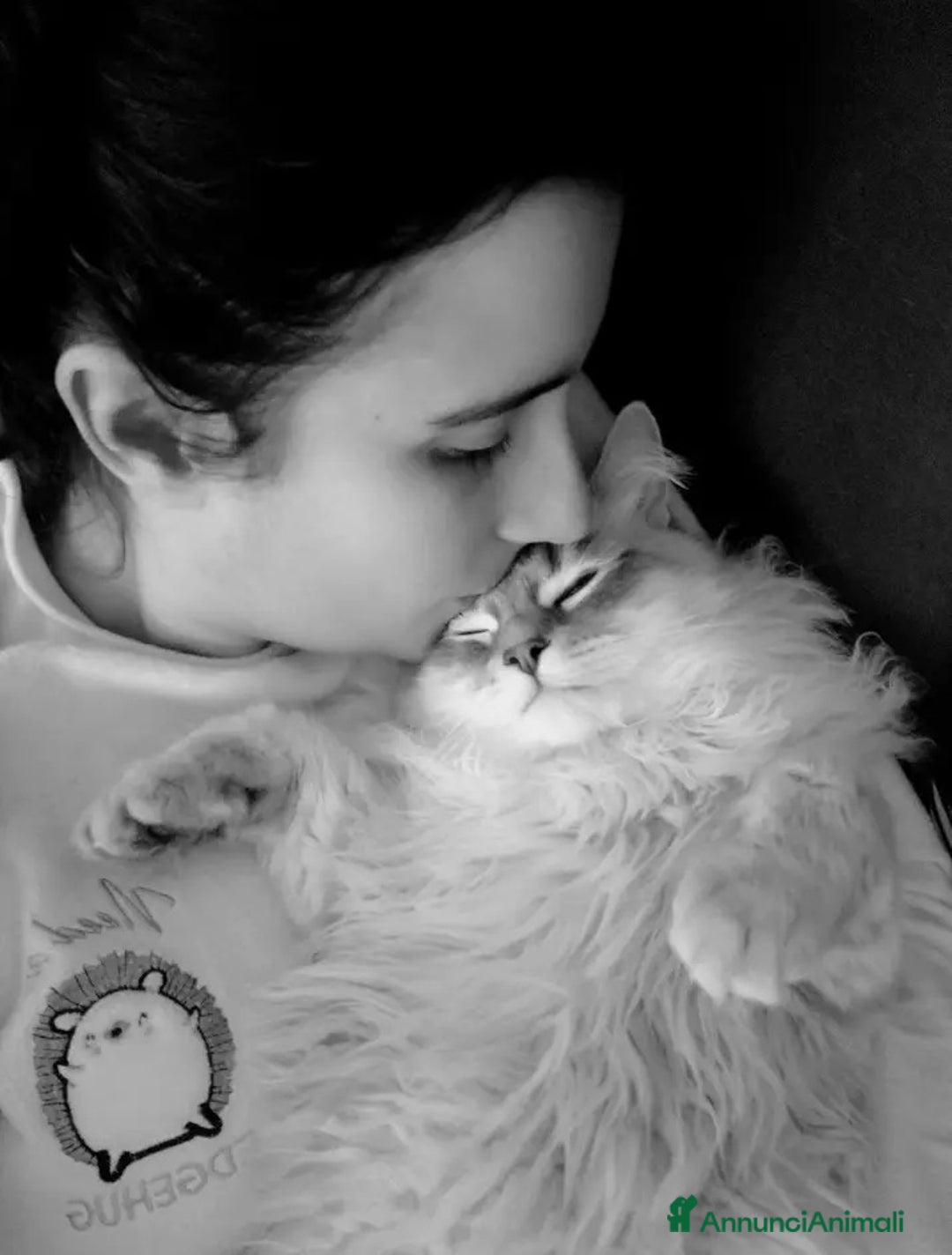 Immagine della galleria {{count}}