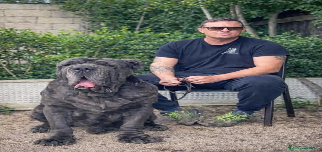 Immagine della galleria {{count}}