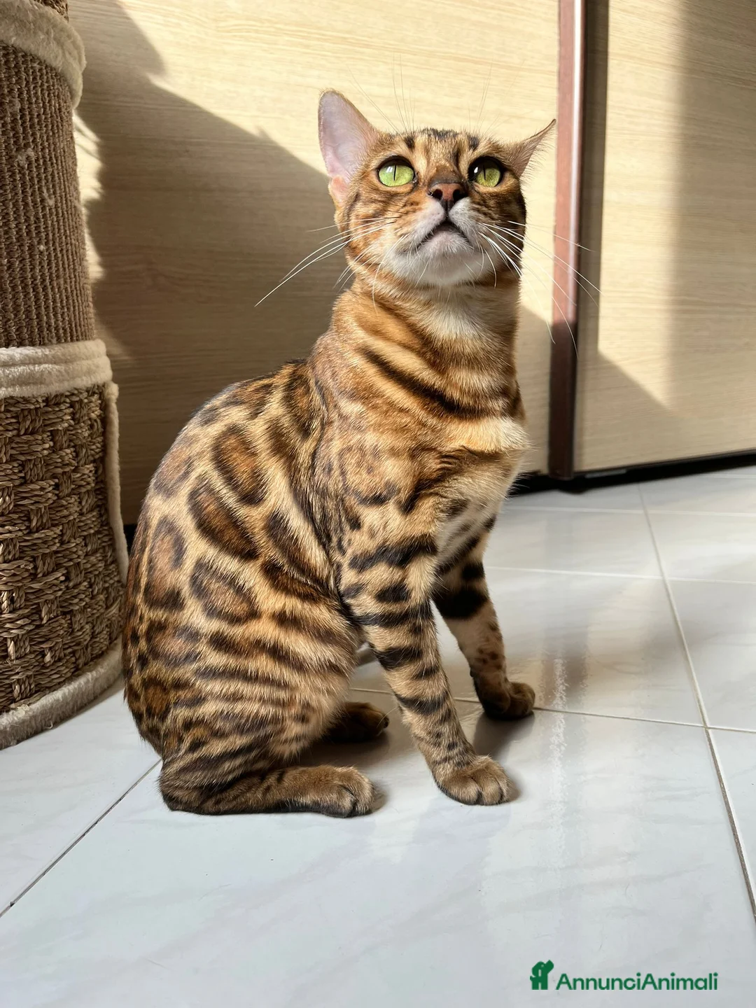 Immagine della galleria {{count}}