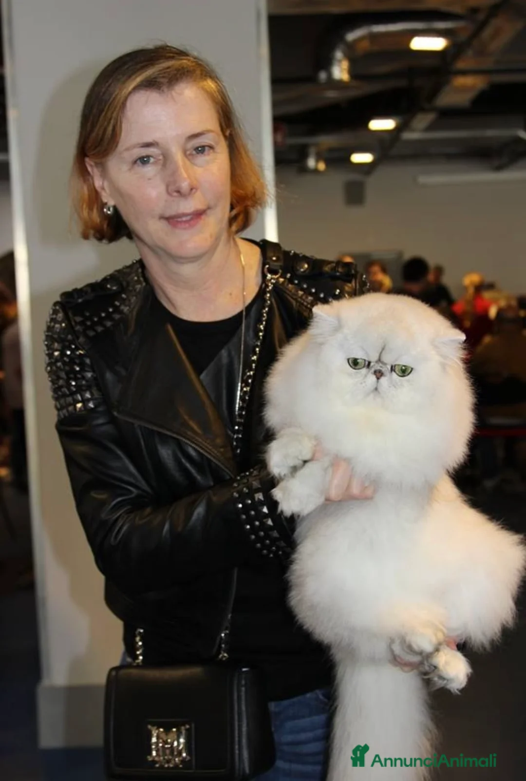 Immagine della galleria {{count}}