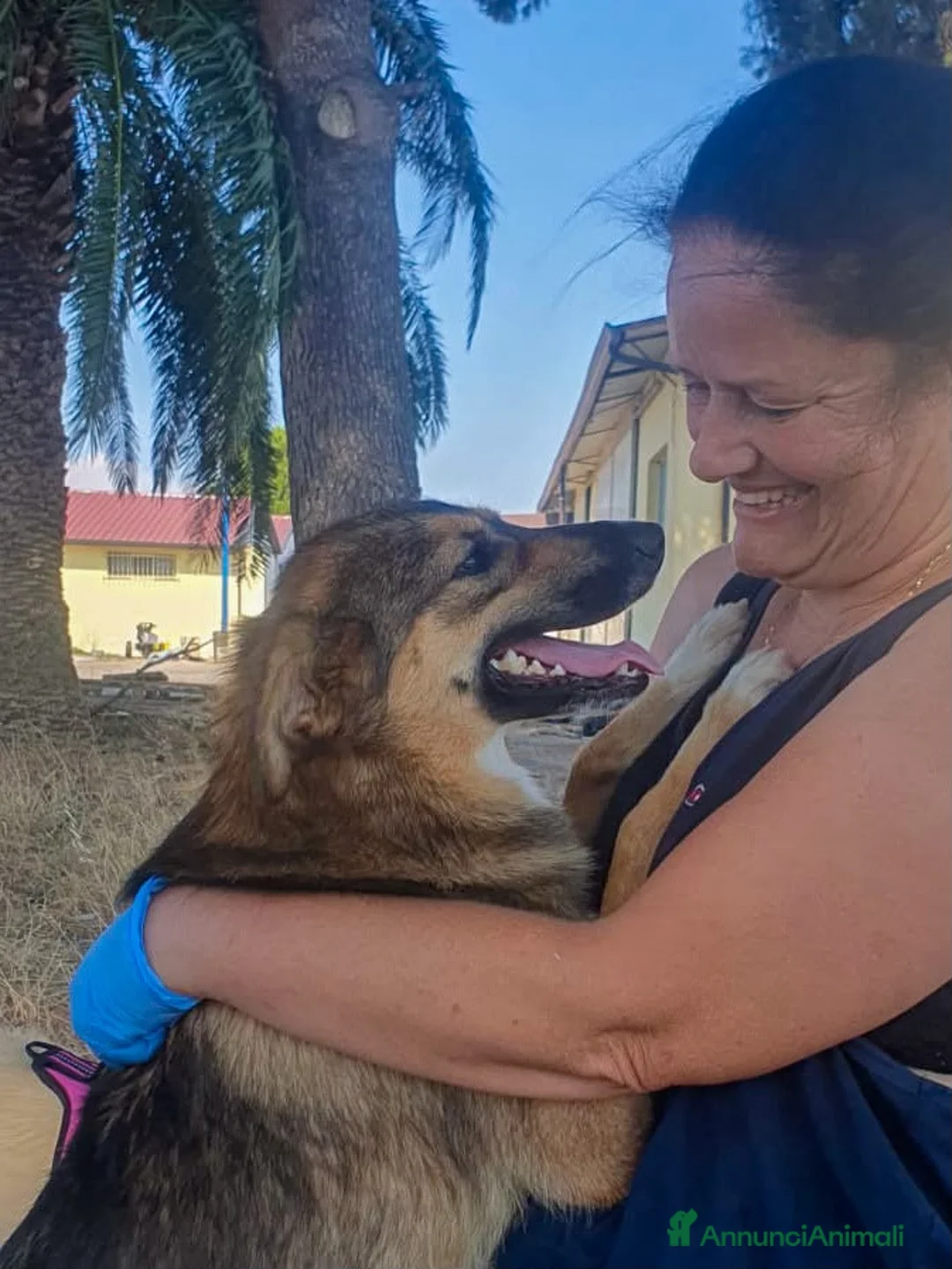 Meticcio cani in regalo: BRENDA 🩷 basta conoscerla per amarla. a Provincia di Alessandria - Annuncio 2