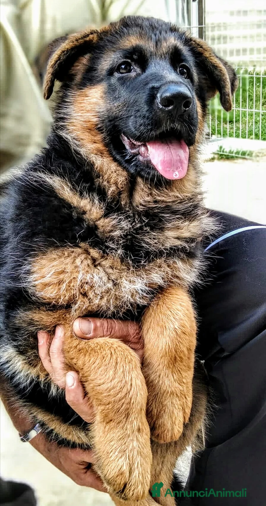 Immagine della galleria {{count}}