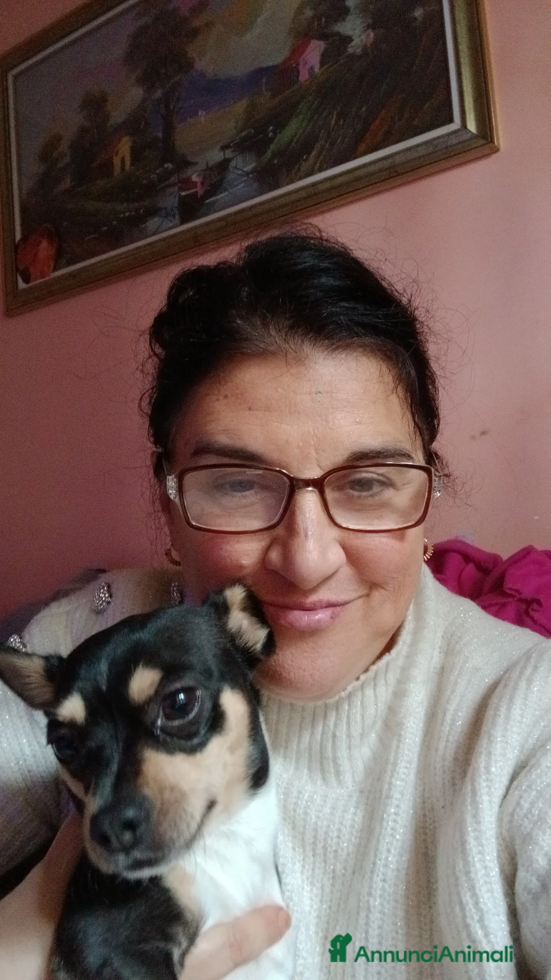 Chihuahua cani in vendita: Cuccioli di chihuahua - Annuncio 9