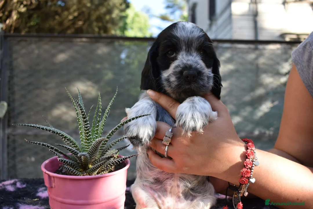 Immagine della galleria {{count}}