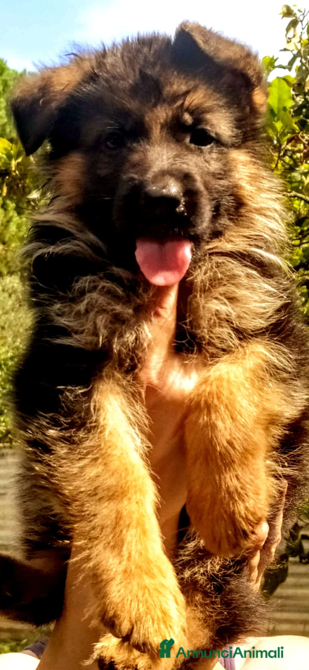 Immagine della galleria {{count}}