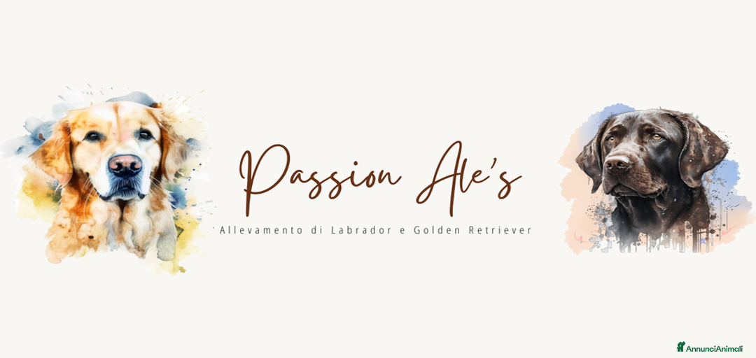 Immagine della galleria {{count}}