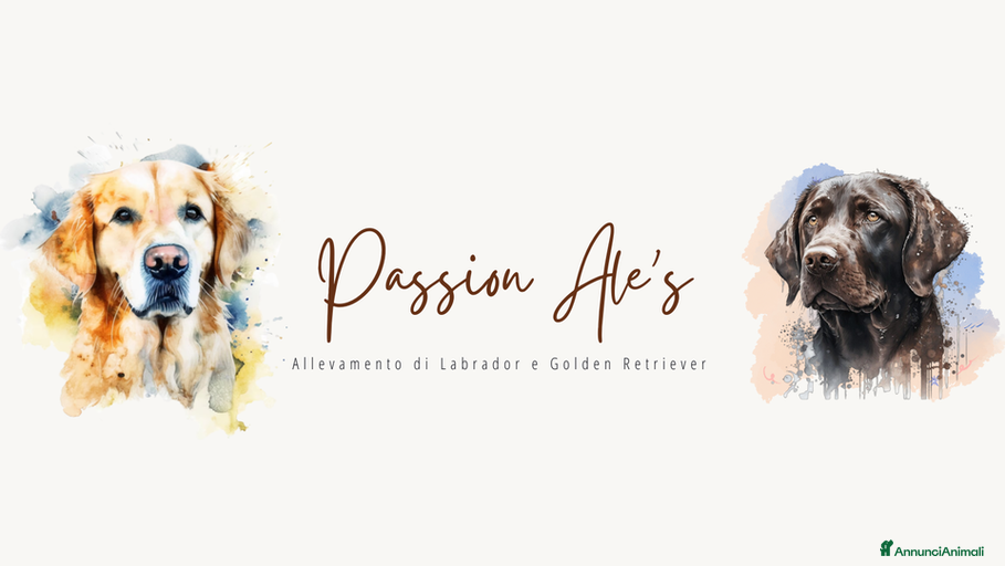 Immagine della galleria {{count}}