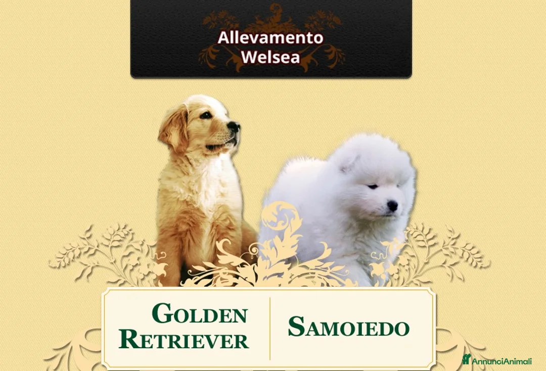 Immagine della galleria {{count}}