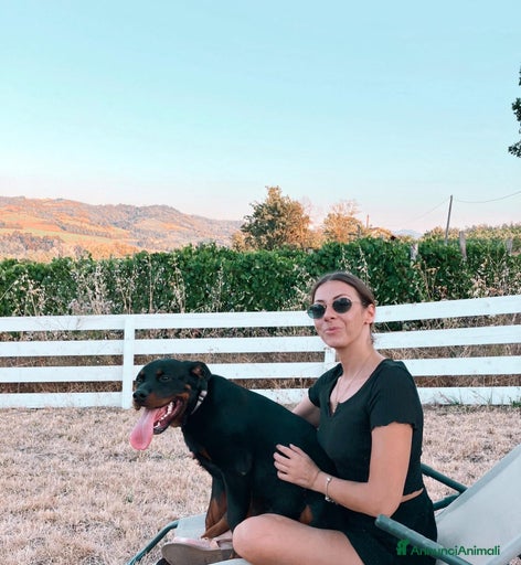 Immagine della galleria {{count}}