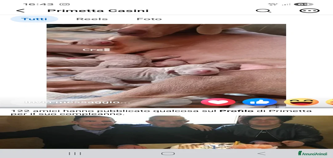 Immagine della galleria {{count}}