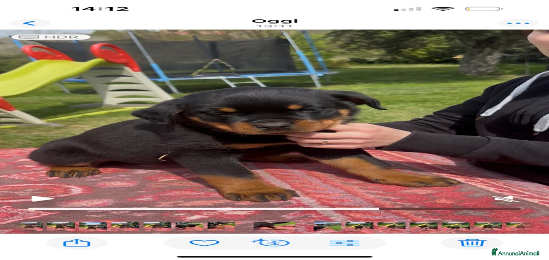 Immagine della galleria {{count}}