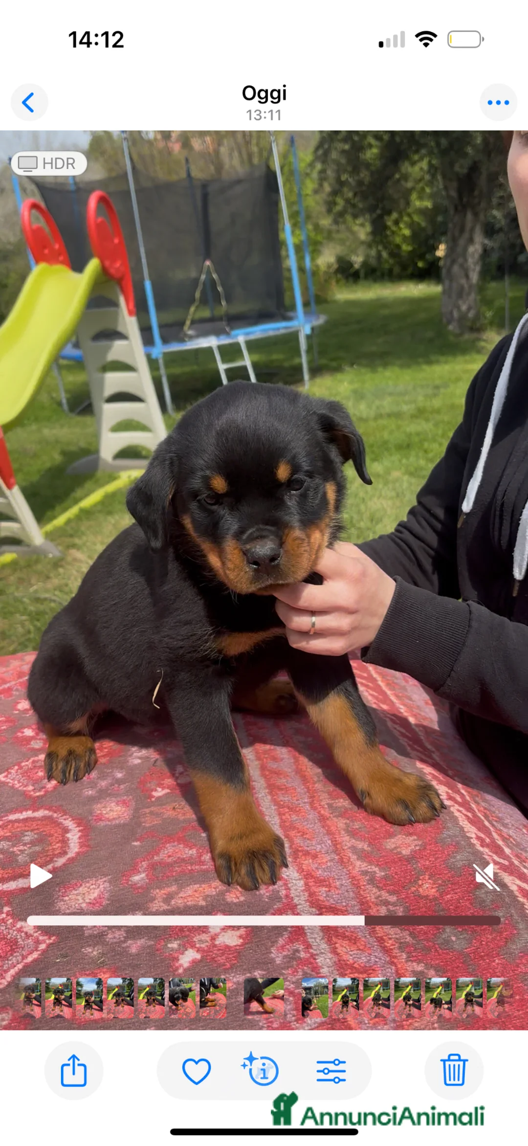 Immagine della galleria {{count}}