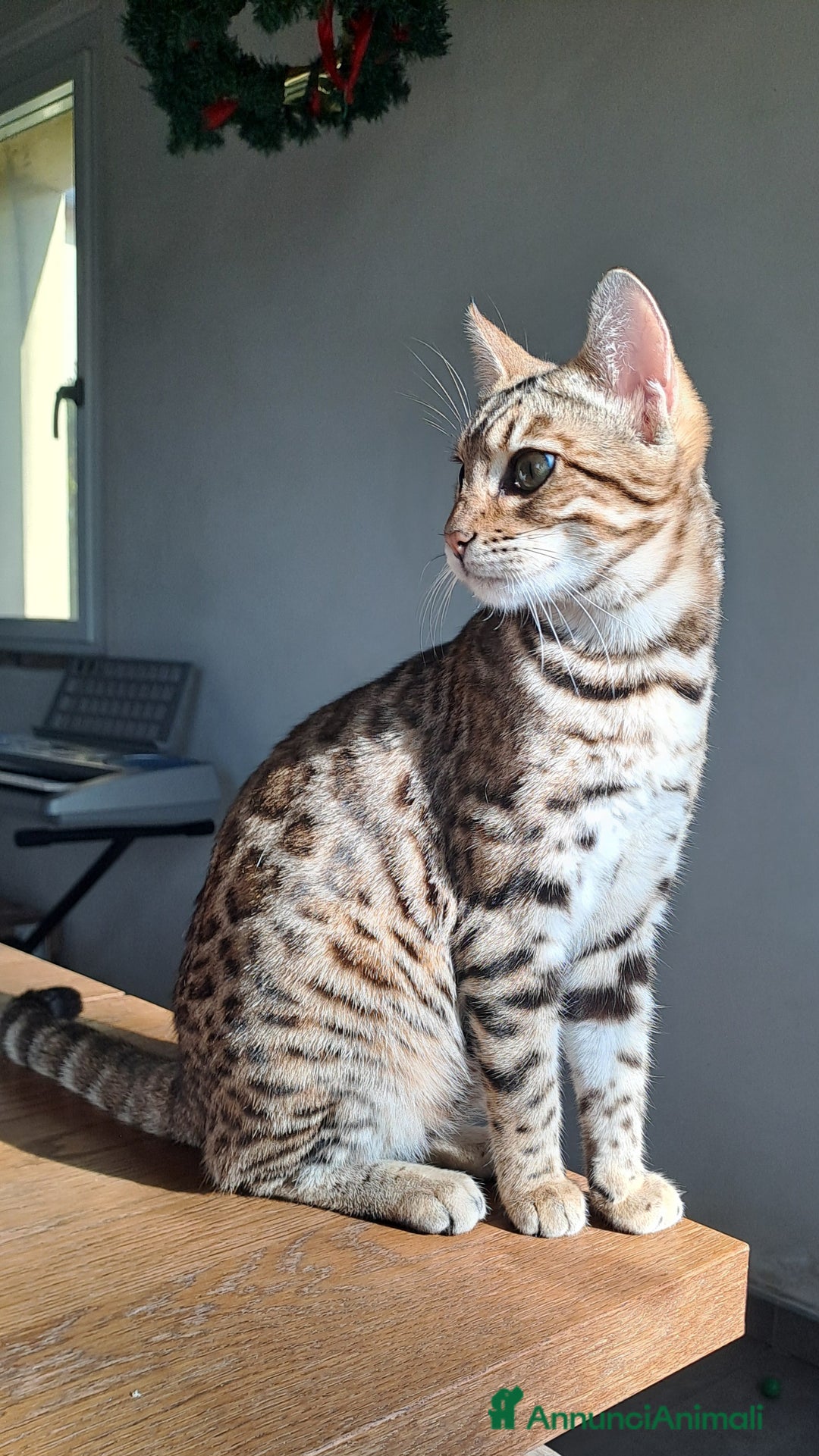 Immagine della galleria {{count}}