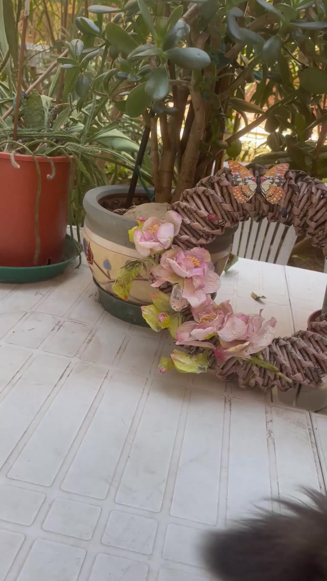 Persiano gatti in vendita: cucciola persiana color point himalaiana - Video 2