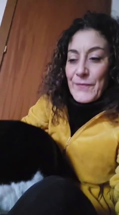 Beagle cani in regalo: Leo, Beagle maschio in canile - Video 1