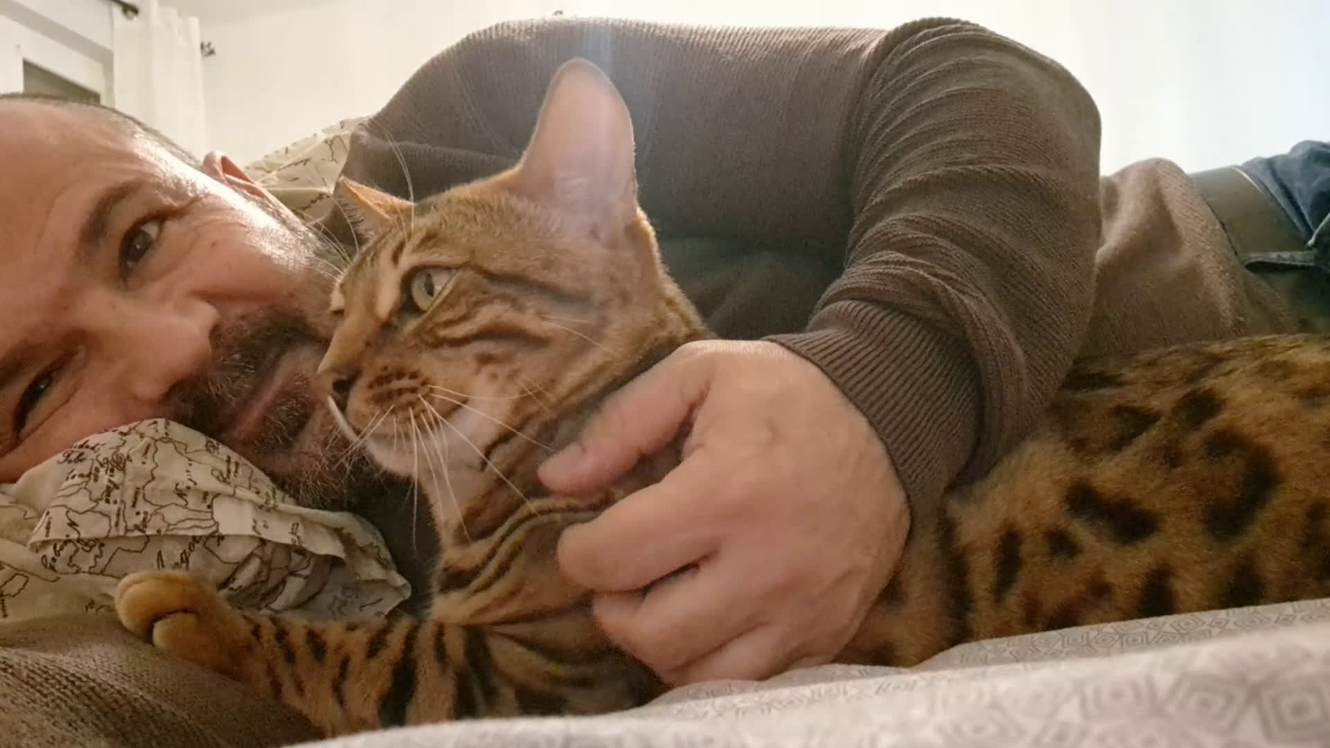 Bengala gatti in vendita: Bengala cucciolo maschio  - Video 1