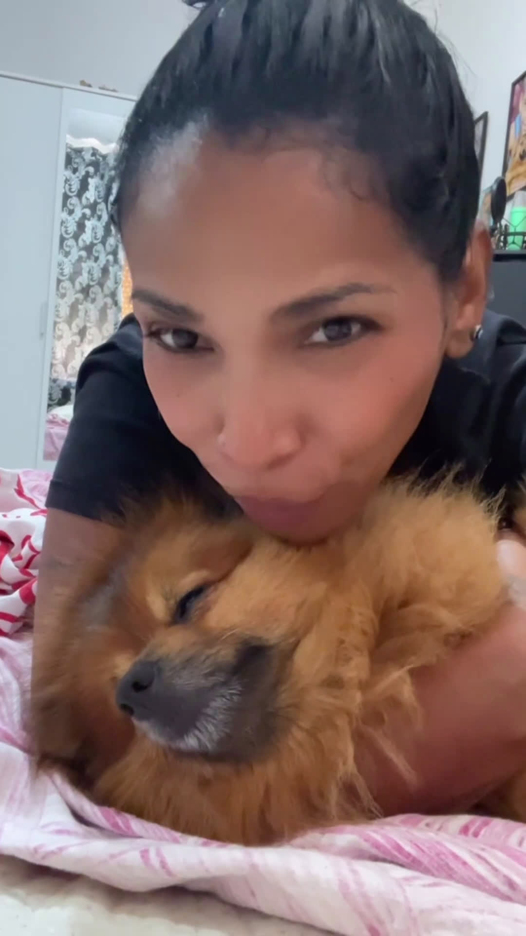 Volpino Pomerania cani per accoppiamento: Volpino Pomerania disponibile per accoppiamento  - Video 4