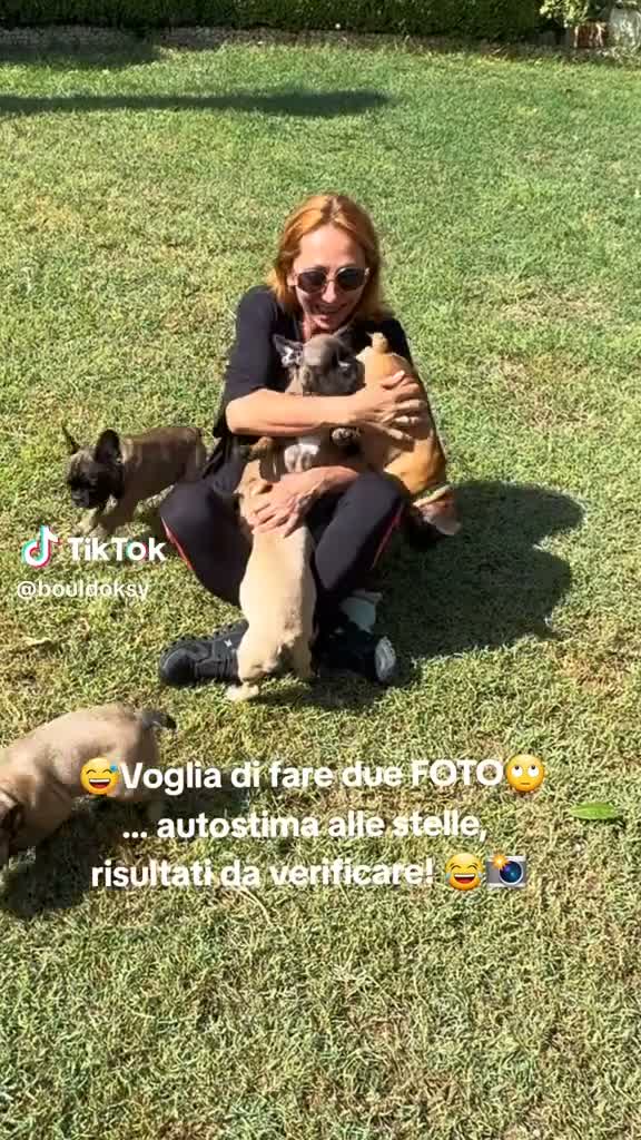 Bulldog Francese cani in vendita: Cuccioli Bulldog Francese Alta Genealogia  a Provincia di Chieti - Video 1