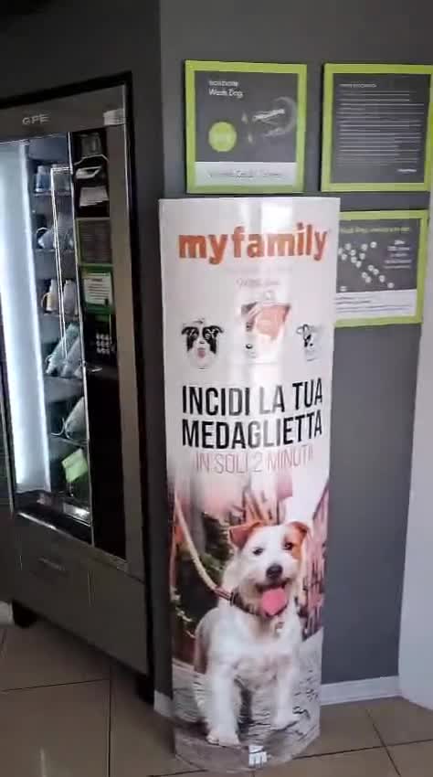 Meticcio cani in regalo: SPANK CERCA CASA - Video 1