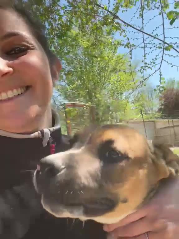 Meticcio cani in regalo: CIOCCOLATO ASPETTA TE - Video 2