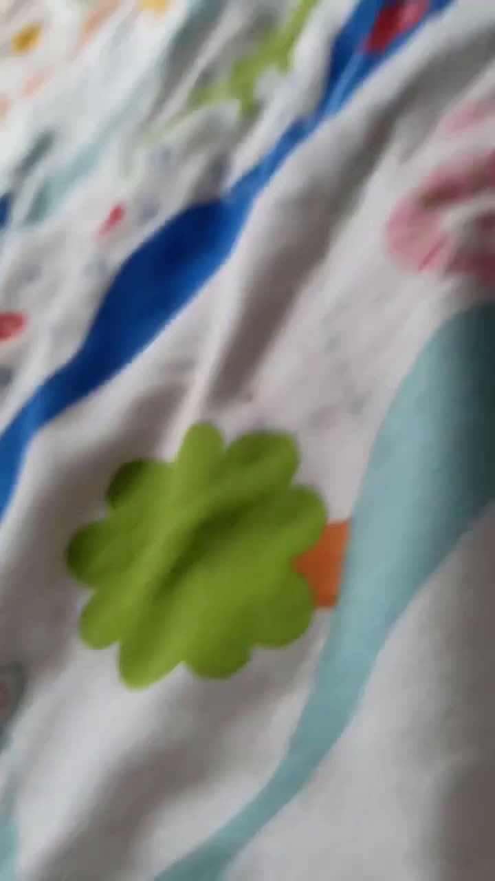 Yorkshire cani in vendita: Yorkshire terrier toy  - Video 2