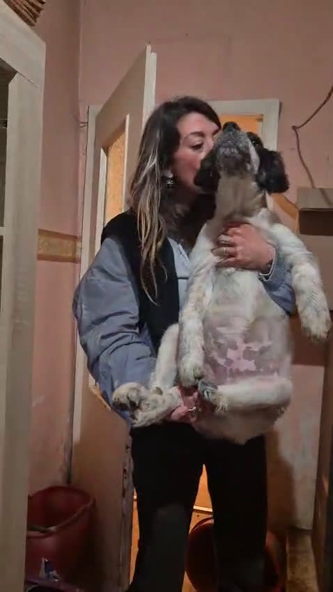 Meticcio cani in regalo: Claretta  - Video 1