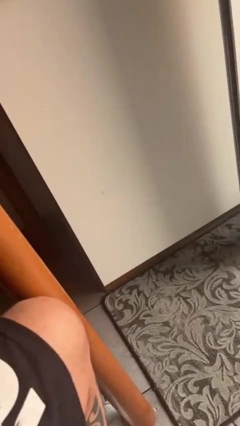 Meticcio cani in vendita: Animale  a Città metropolitana di Milano - Video 1