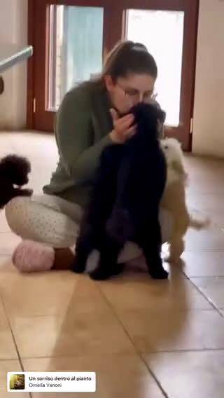 Barboncino Toy cani in vendita: Cucciole di Barboncino Toy con pedigree ENCI - Video 1