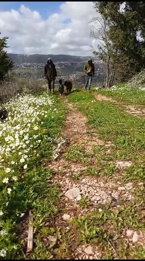 Labrador cani in regalo: Windy, splendida  - Video 1