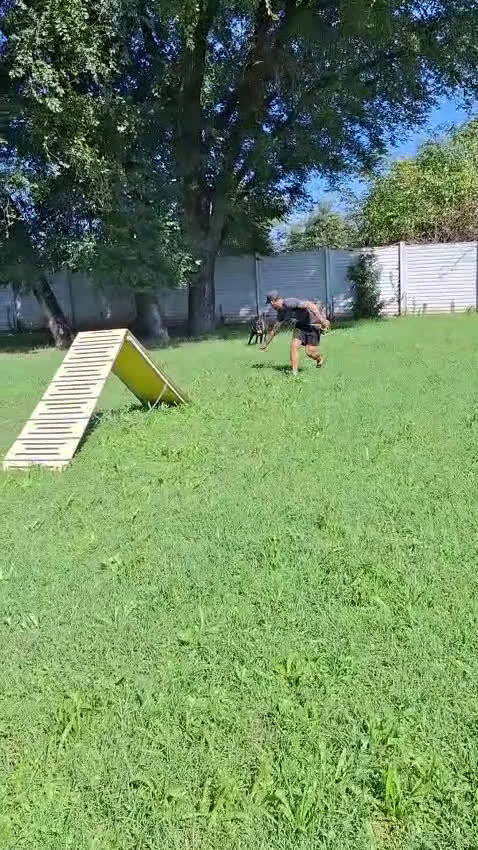 Meticcio cani in regalo: CHERRY BOXERINA - Video 2