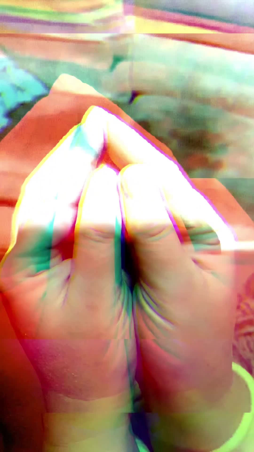 Maltese cani in vendita: Cuccioli maltesi a Città Metropolitana di Firenze - Video 1