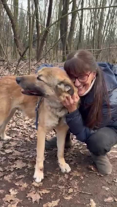 Meticcio cani in regalo: Whisky, un tenerissimo meticcio  - Video 2