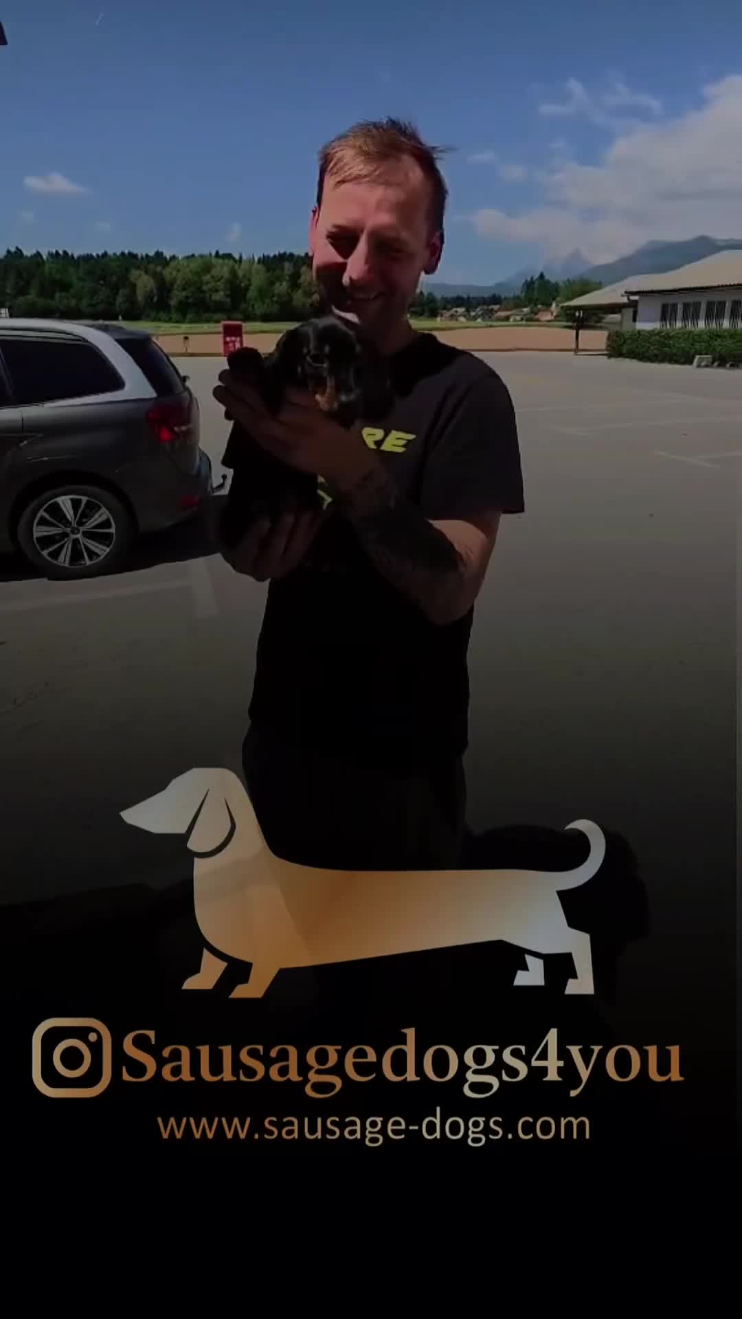 Bassotto cani in vendita: Bassotti nani  - Video 2