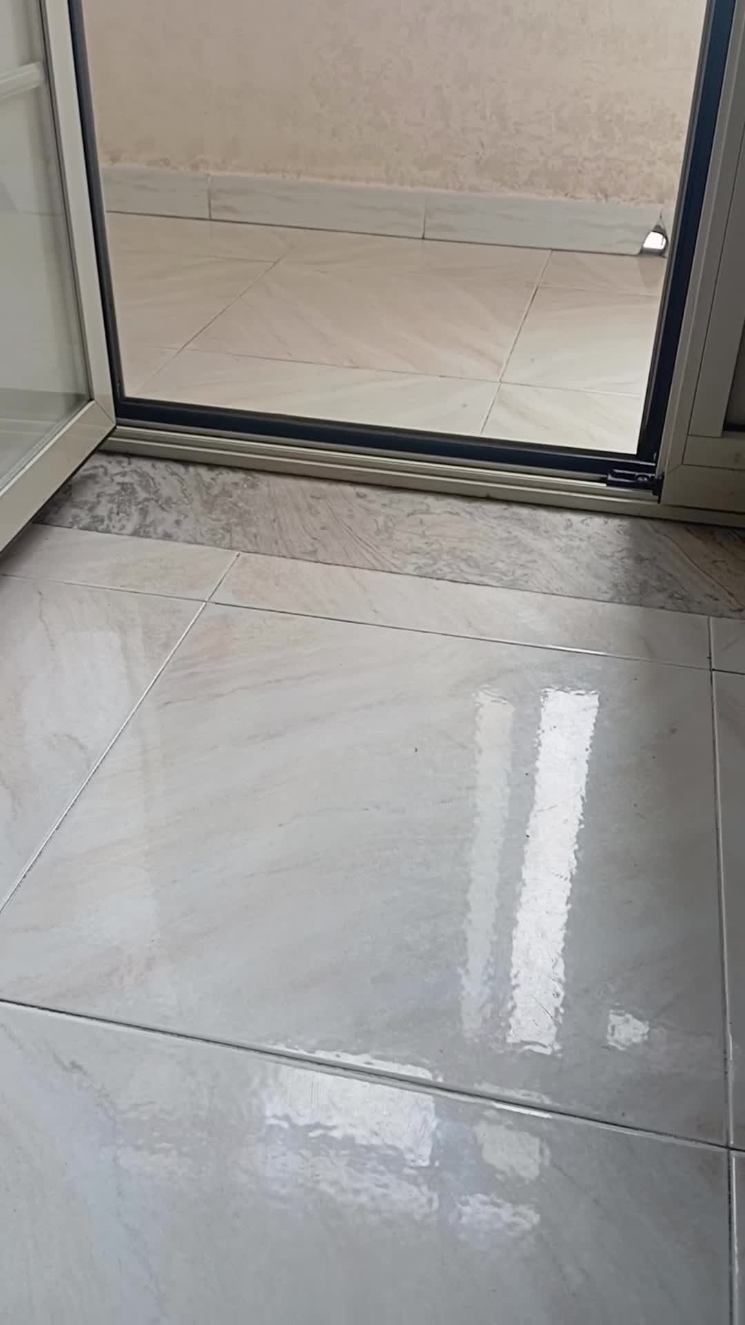 Spitz cani in vendita: Spitz tedesco di Pomerania nano - Video 3