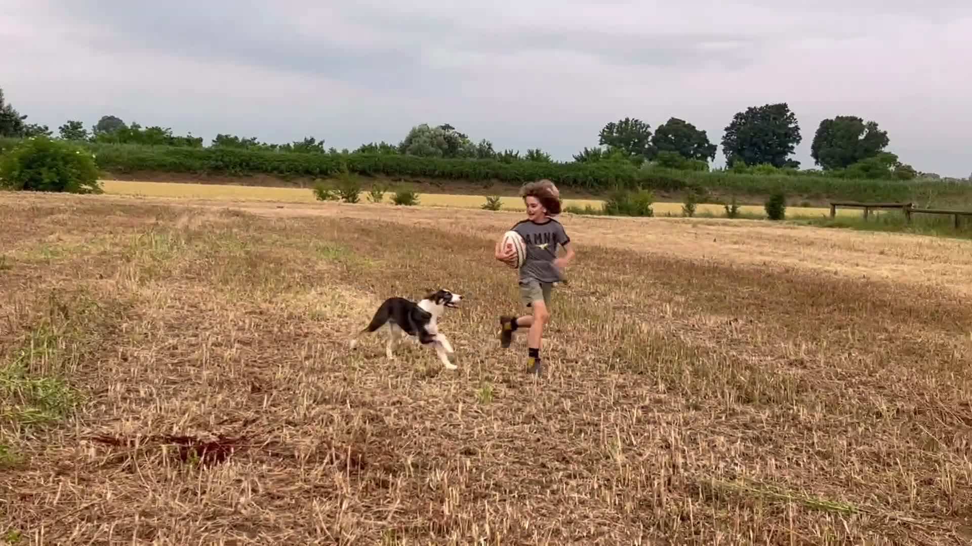 Pastore Asia Centrale cani in vendita: Cucciola di Pastore dell’Asia Centrale - Video 1