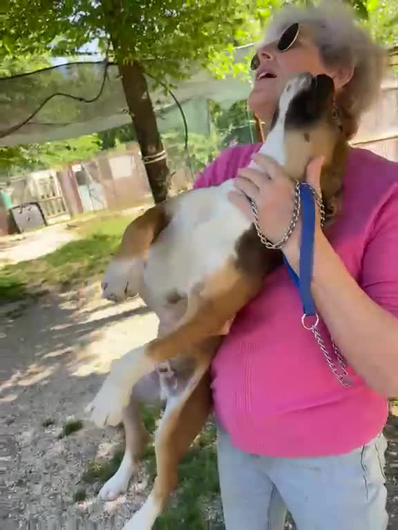 Meticcio cani in regalo: CIOCCOLATO ASPETTA TE - Video 4