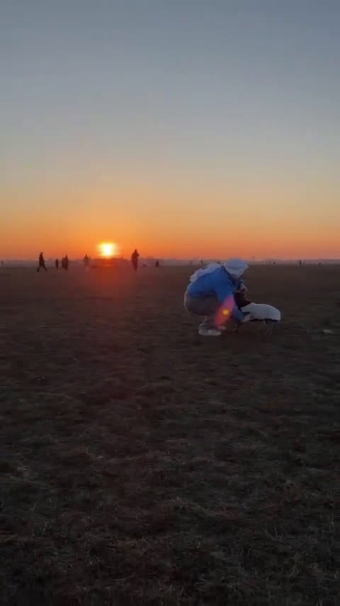 Bulldog Francese cani per accoppiamento:  Ciccio Maschio Bulldog Francese Cerca Femmina - Video 3