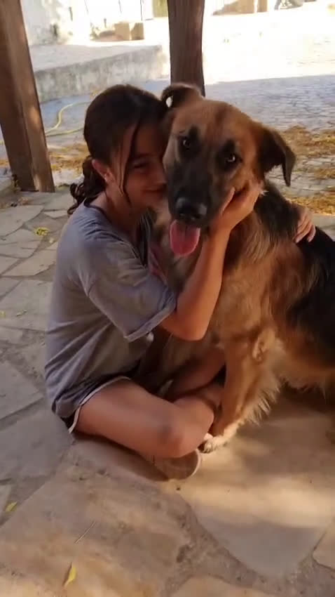 Meticcio cani in regalo: Panko, un coccolone tutto da adottare - Video 1