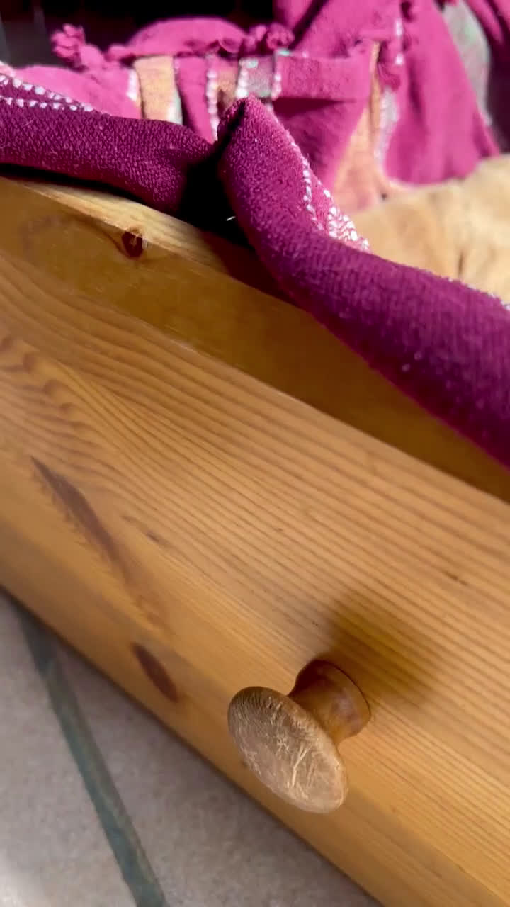 Golden Retriever cani in vendita: Cuccioli di Golden Retriever con pedigree ENCI - Video 2