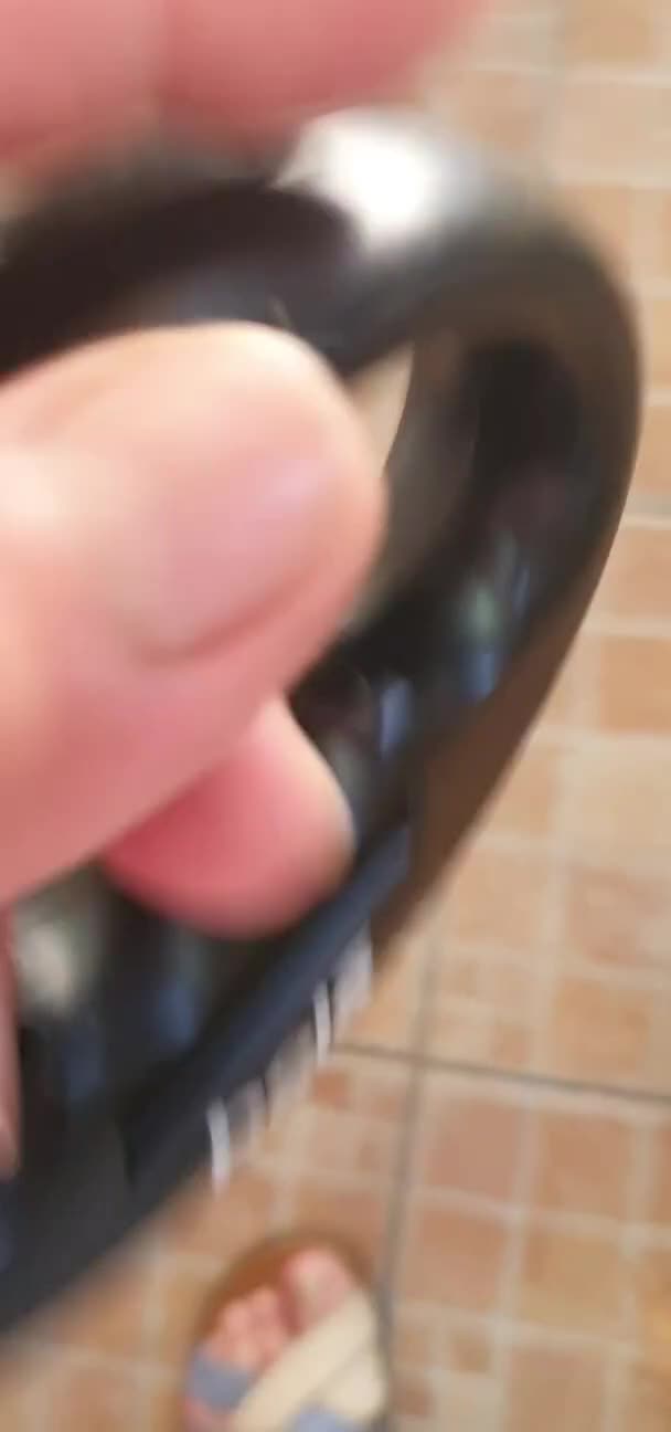 Segugio cani in regalo: Tino, segugio mix in canile a Catania - Video 2