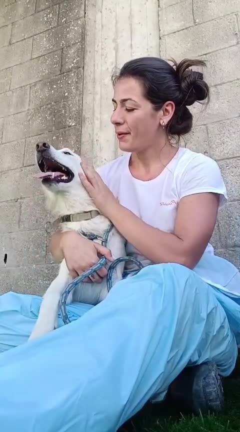 Meticcio cani in regalo: NICLA - Video 1