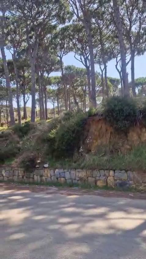 Meticcio cani in regalo: Daisy, una splendida meticcia - Video 1