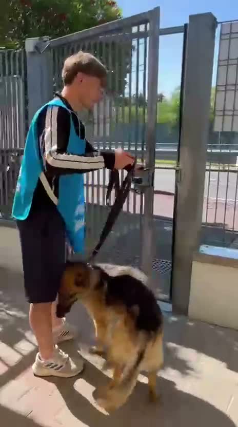 Meticcio cani in regalo: CICCILLO ALLA RICERCA DI UNA CASA - Video 5