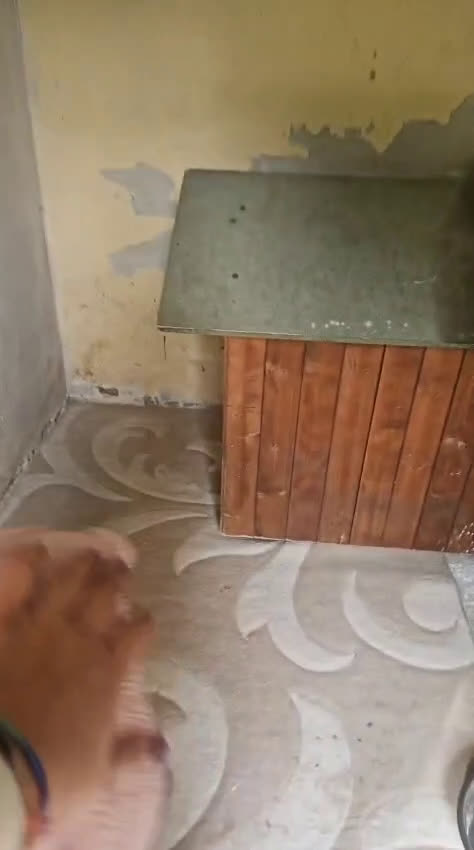 Breton cani in regalo: Tommy: giovane bretoncino socievole equilibrato  - Video 2