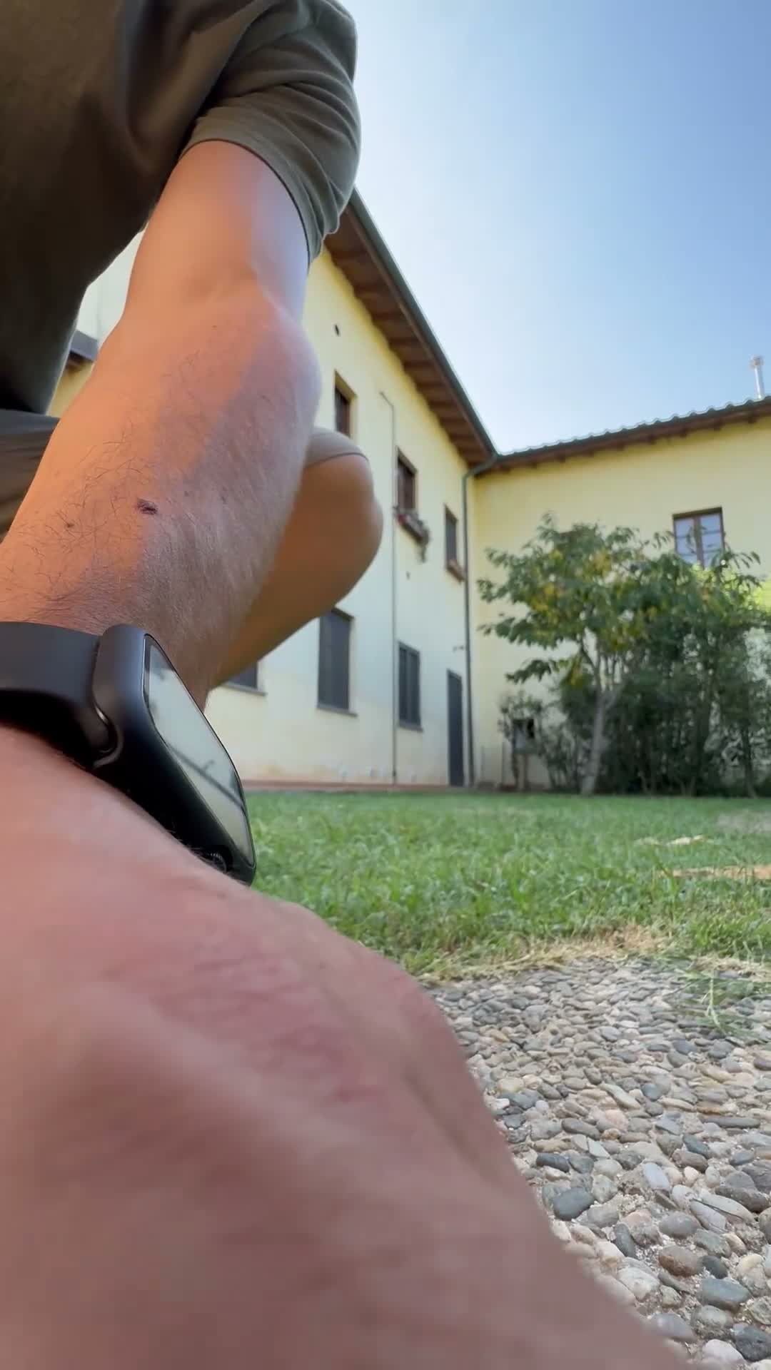 Bearded Collie cani in regalo: Cucciolo Border Collie a Provincia di Prato - Video 2